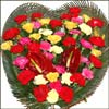 Miles of Smiles - Click here to View more details about this Product